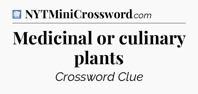 Medicinal or culinary plants Puzzle Page Crossword Clue