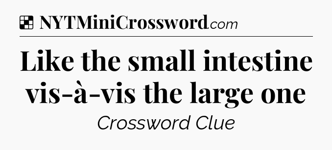 Solution: Like the small intestine vis-à-vis the large one - NYT Crossword