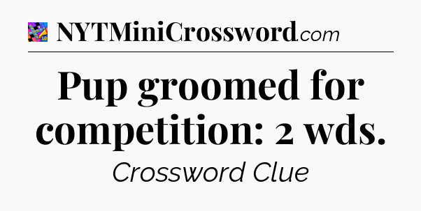 Pup groomed for competition: 2 wds Crossword Clue