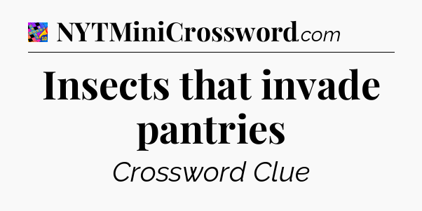 Insects that invade pantries Crossword Clue