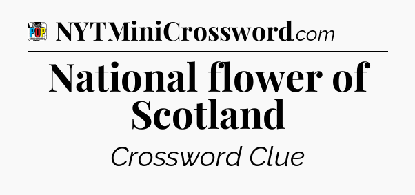 National flower of Scotland Crossword Clue