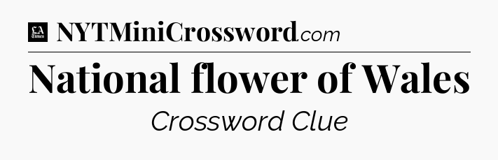 National flower of Wales - LA Times Crossword