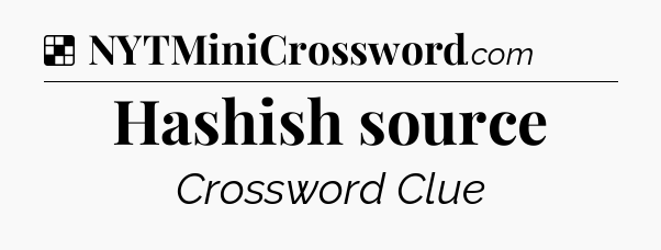 Solution: Hashish source - NYT Crossword