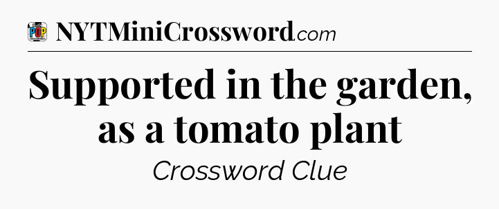 Supported in the garden, as a tomato plant Crossword Clue