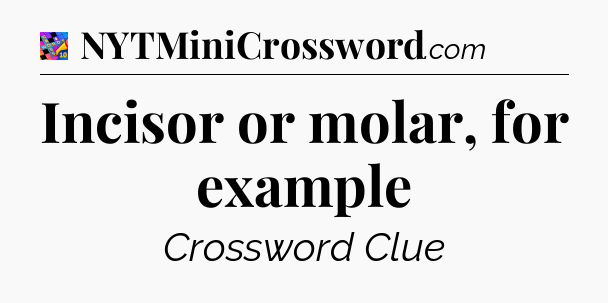 Incisor or molar, for example Crossword Clue