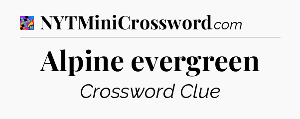 Alpine evergreen Crossword Clue
