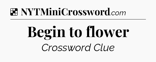 Solution: Begin to flower - NYT Crossword