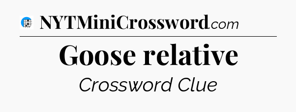 Goose relative Crossword Clue