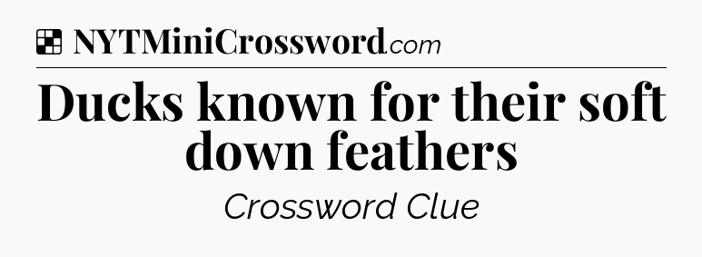 Solution: Ducks known for their soft down feathers - NYT Crossword
