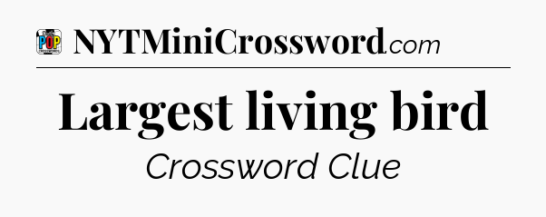 Largest living bird Crossword Clue