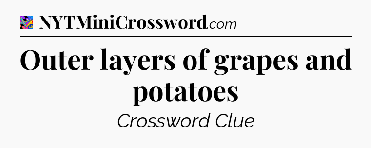 Outer layers of grapes and potatoes Crossword Clue