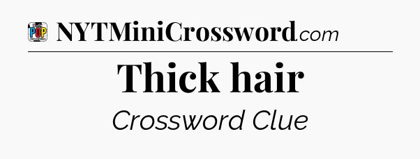 Thick hair Crossword Clue