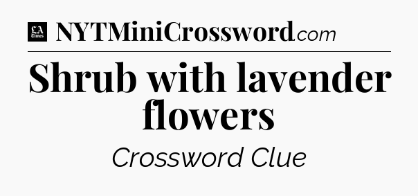Shrub with lavender flowers - LA Times Crossword