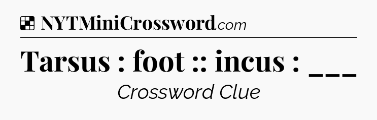 Solution: Tarsus : foot :: incus : ___ - NYT Crossword