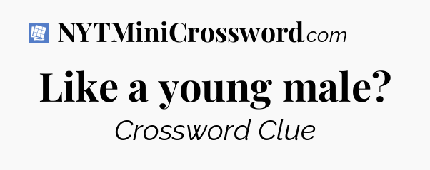 Like a young male Puzzle Page Crossword Clue