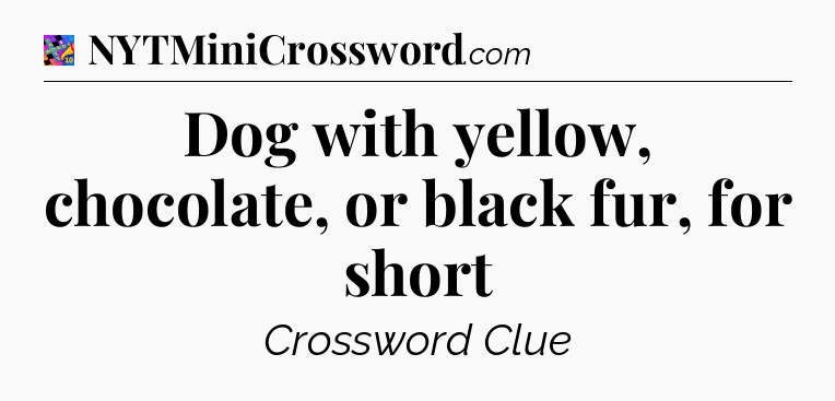 Dog with yellow, chocolate, or black fur, for short Crossword Clue