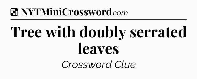 Tree with doubly serrated leaves NYT Crossword