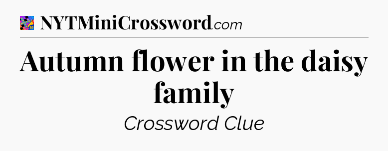 Autumn flower in the daisy family Crossword Clue