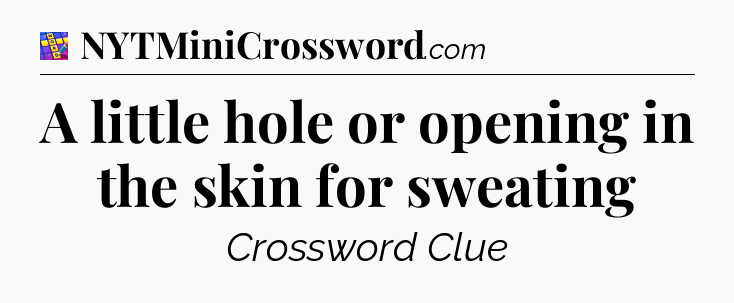 A little hole or opening in the skin for sweating Codycross