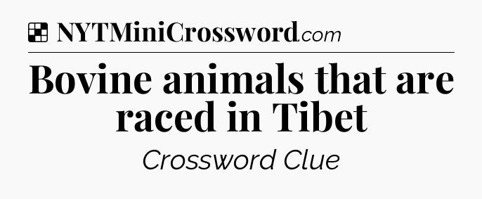 Solution: Bovine animals that are raced in Tibet - NYT Crossword
