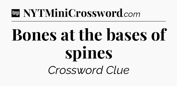 Bones at the bases of spines Crossword Clue