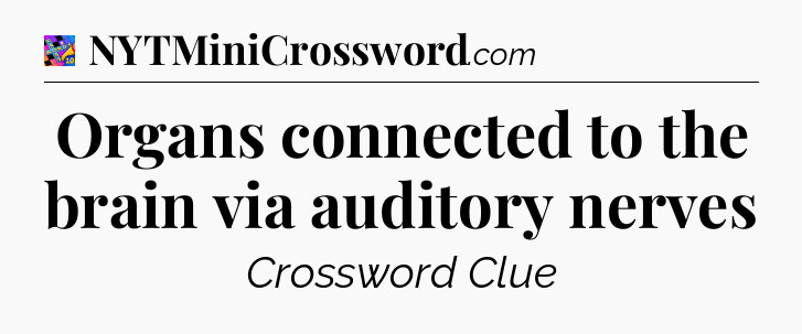 Organs connected to the brain via auditory nerves Crossword Clue