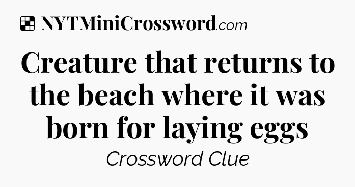 Solution: Creature that returns to the beach where it was born for laying eggs - NYT Crossword