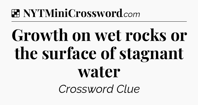 Solution: Growth on wet rocks or the surface of stagnant water - NYT Crossword