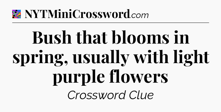Bush that blooms in spring, usually with light purple flowers Crossword Clue
