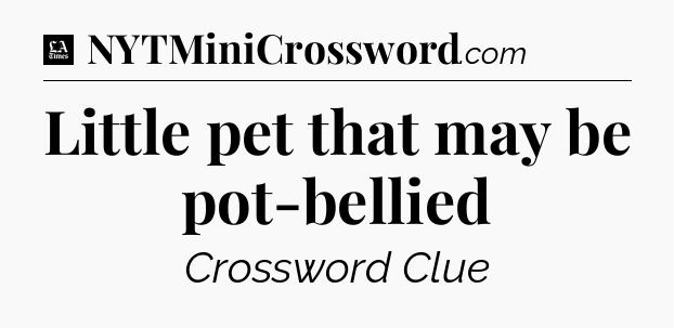 Little pet that may be pot-bellied - LA Times Crossword