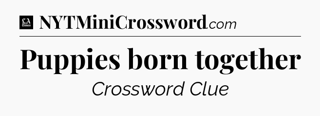 Puppies born together - LA Times Crossword