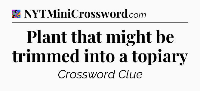 Plant that might be trimmed into a topiary Crossword Clue