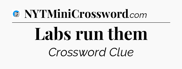 Labs run them Crossword Clue