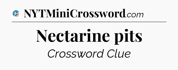 Nectarine pits Crossword Clue