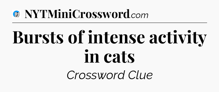Bursts of intense activity in cats Crossword Clue