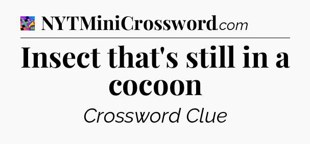 Insect that's still in a cocoon Crossword Clue