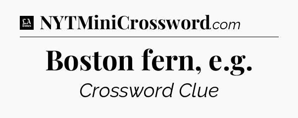 Boston fern, e.g - LA Times Crossword