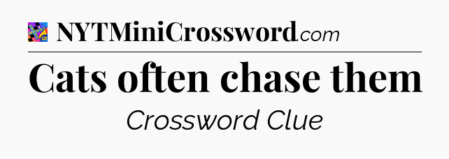 Cats often chase them Crossword Clue