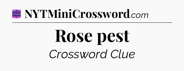 Rose pest - Thomas Joseph Crossword