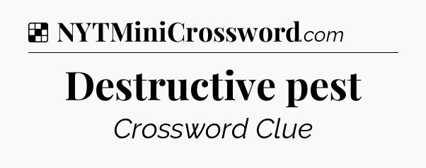 Solution: Destructive pest - NYT Crossword