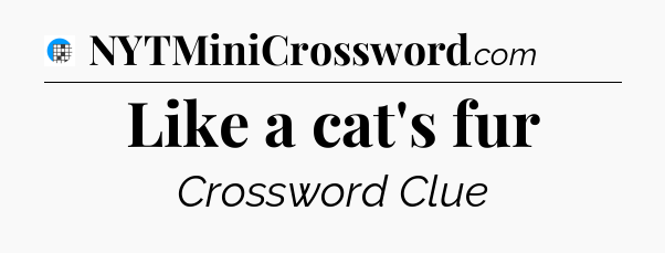 Like a cat's fur Crossword Clue