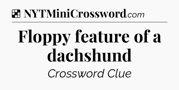 Solution: Floppy feature of a dachshund - NYT Crossword