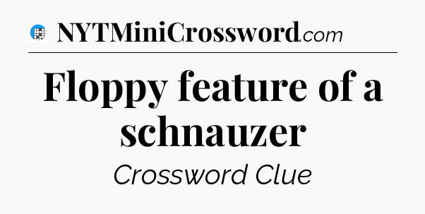 Floppy feature of a schnauzer Crossword Clue