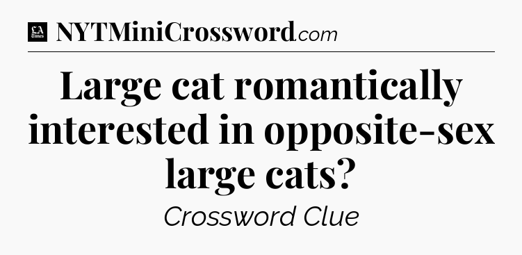 Large cat romantically interested in opposite-sex large cats - LA Times Crossword
