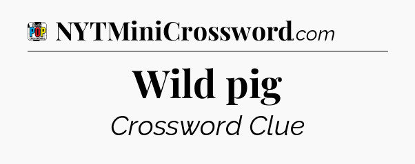 Wild pig Crossword Clue
