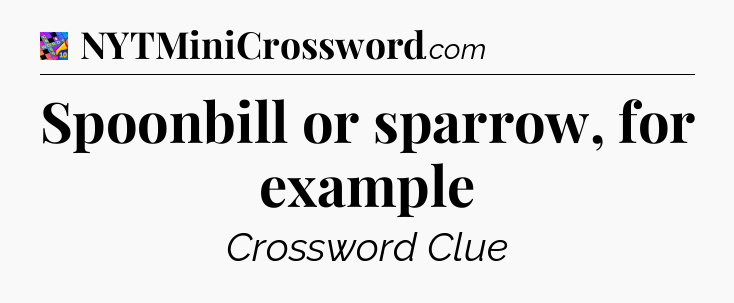 Spoonbill or sparrow, for example Crossword Clue