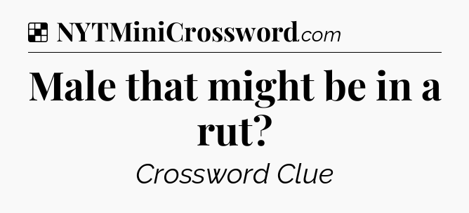 Solution: Male that might be in a rut - NYT Crossword