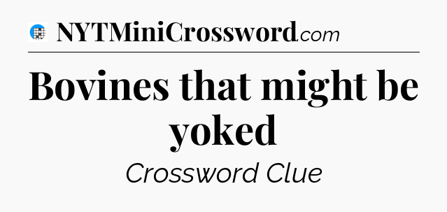 Bovines that might be yoked Crossword Clue