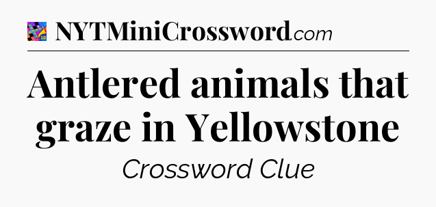 Antlered animals that graze in Yellowstone Crossword Clue