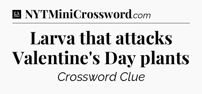 Larva that attacks Valentine's Day plants - LA Times Crossword